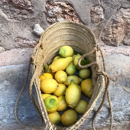 Encantadora Casita En El Centro De * Fornalutx